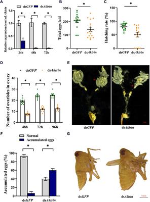 Role of nuclear protein Akirin in the modulation of female reproduction in Nilaparvata lugens (Hemiptera: Delphacidae)